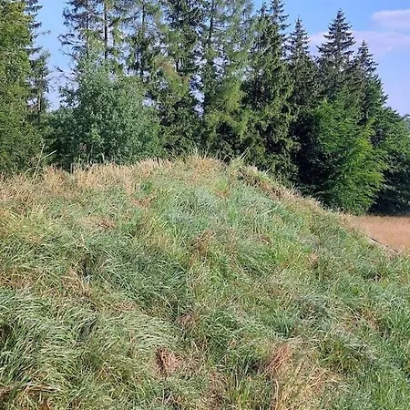 Chalet Boruvka - Biofarma Na Samote V Lesich *