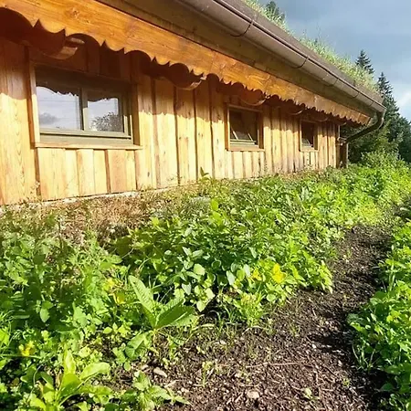 Boruvka - Biofarma Na Samote V Lesich Benesov (Blansko)