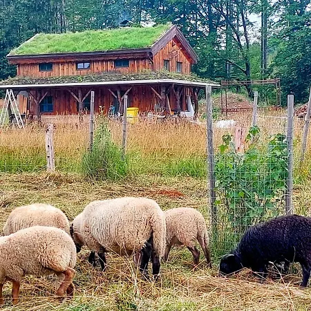 Boruvka - Biofarma Na Samote V Lesich