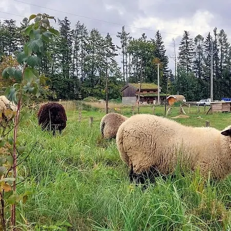 Boruvka - Biofarma Na Samote V Lesich Chalet *