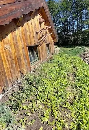 Boruvka - Biofarma Na Samote V Lesich Chalet Benesov (Blansko)