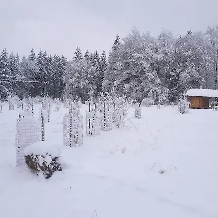 Boruvka - Biofarma Na Samote V Lesich Benesov (Blansko)