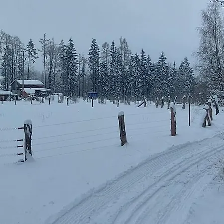 Boruvka - Biofarma Na Samote V Lesich Chalet *