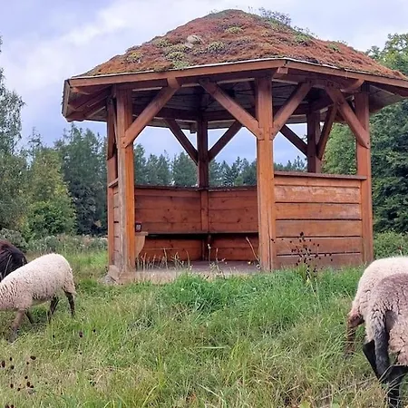 Boruvka - Biofarma Na Samote V Lesich *