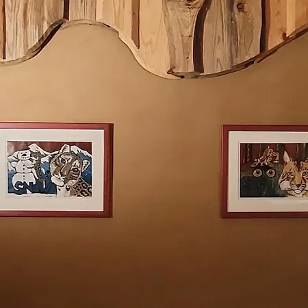 Boruvka - Biofarma Na Samote V Lesich Chalet *