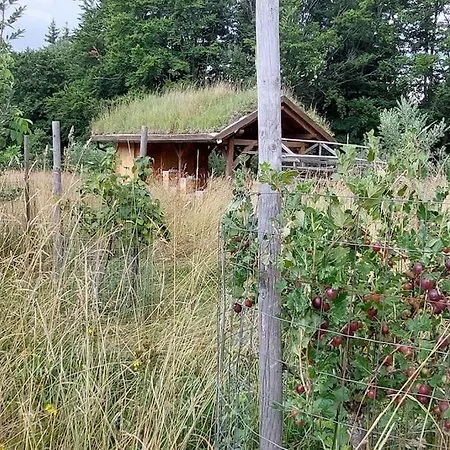 Boruvka - Biofarma Na Samote V Lesich Chalet Benesov (Blansko)