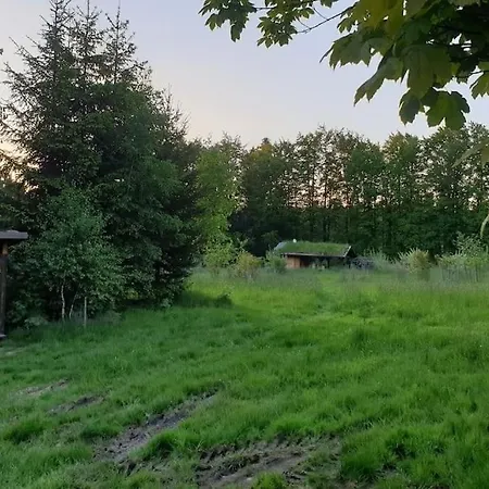 Boruvka - Biofarma Na Samote V Lesich Chalet *