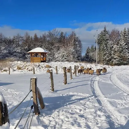 Chalet Boruvka - Biofarma Na Samote V Lesich