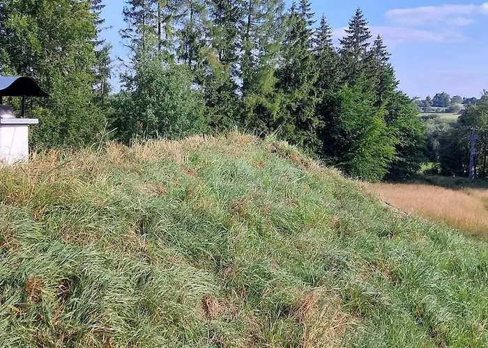 Chalet Boruvka - Biofarma Na Samote V Lesich *