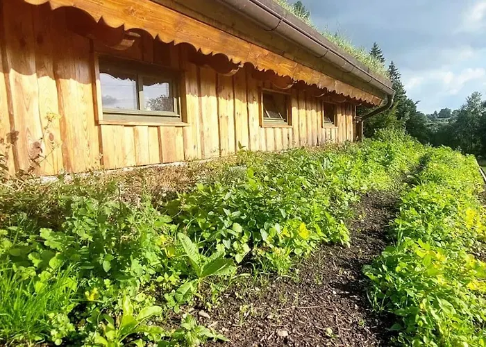 Boruvka - Biofarma Na Samote V Lesich Benesov (Blansko)