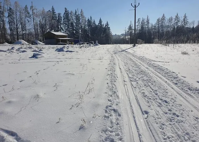Chalet Boruvka - Biofarma Na Samote V Lesich *