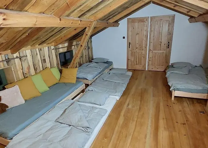 Chalet Boruvka - Biofarma Na Samote V Lesich Benesov (Blansko)