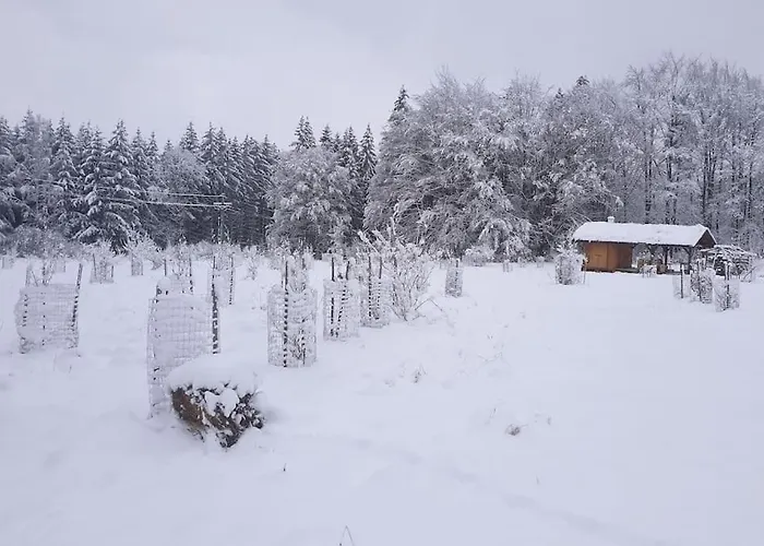 Boruvka - Biofarma Na Samote V Lesich Benesov (Blansko)