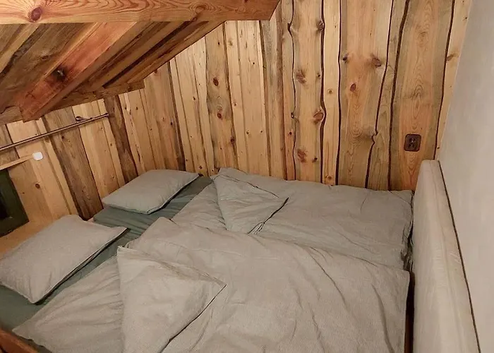 Boruvka - Biofarma Na Samote V Lesich Chalet