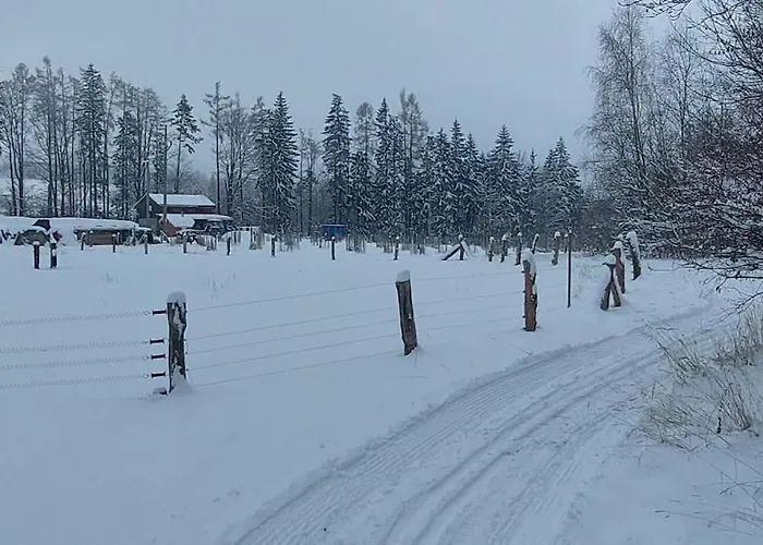 Boruvka - Biofarma Na Samote V Lesich Chalet *