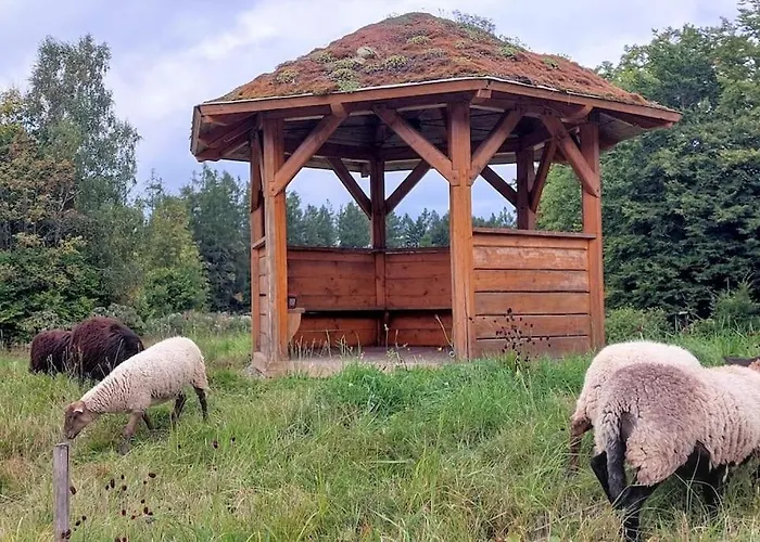 Boruvka - Biofarma Na Samote V Lesich *