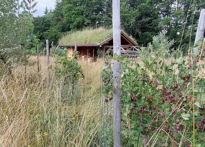 Boruvka - Biofarma Na Samote V Lesich Chalet Benesov (Blansko)