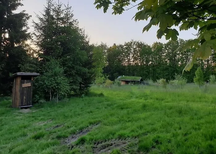 Boruvka - Biofarma Na Samote V Lesich Chalet *