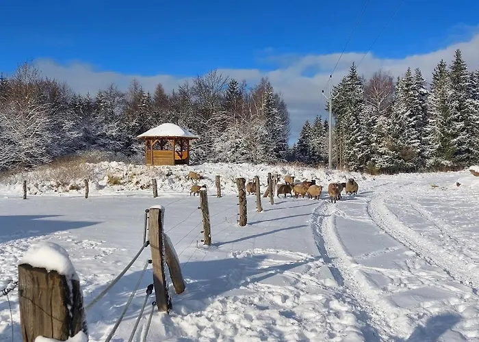 Chalet Boruvka - Biofarma Na Samote V Lesich